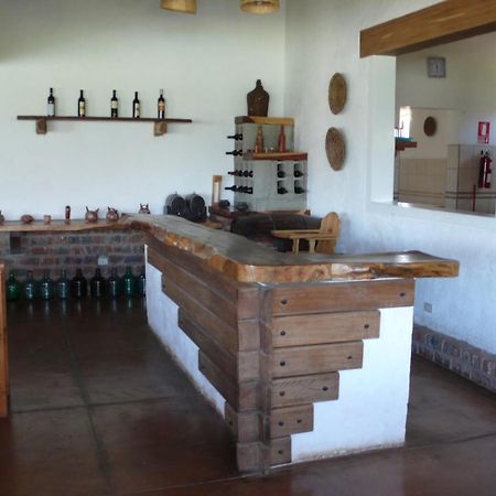 Casa Hacienda Nasca Oasis Hotel Nazca Kültér fotó