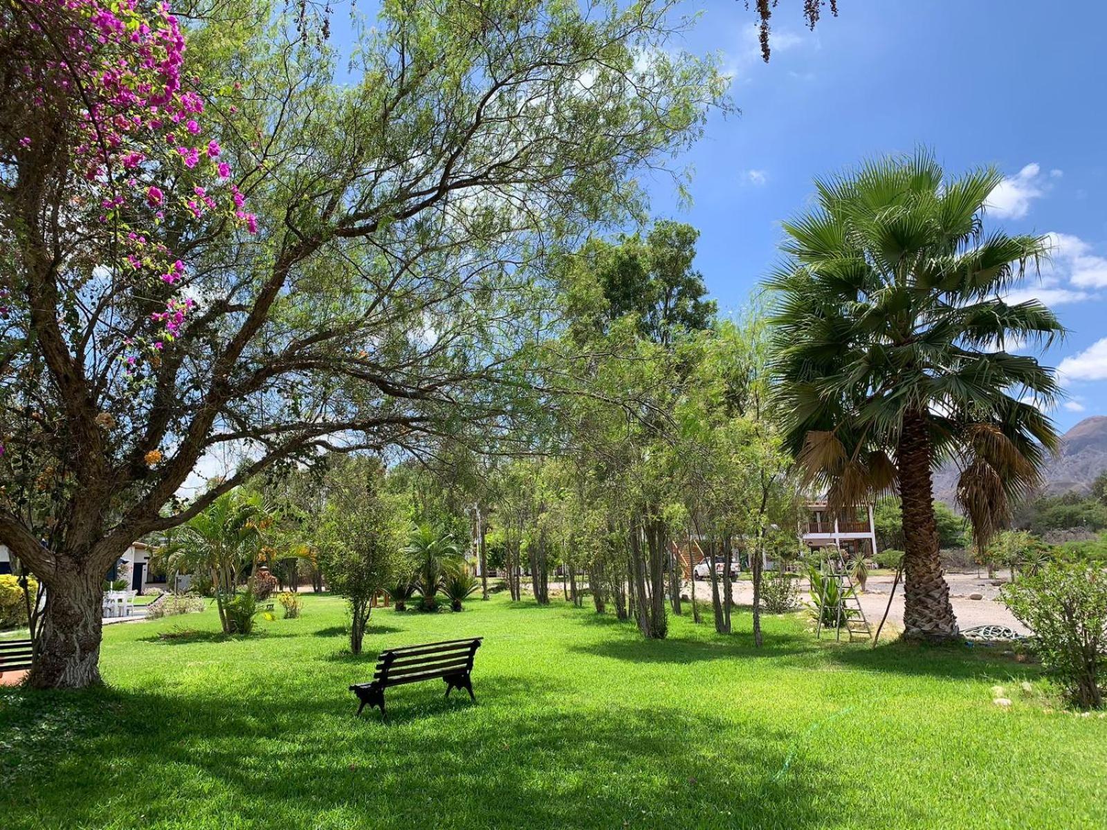 Casa Hacienda Nasca Oasis Hotel Nazca Kültér fotó